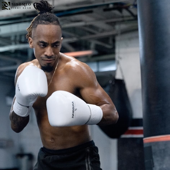 Hayabusa Pro Boxing Gloves 