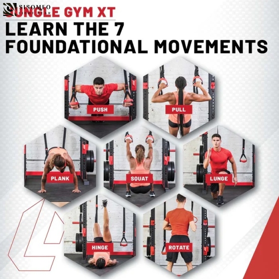 Bộ Dây Training Lifeline Fitness Jungle Gym XT